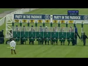 Video preview image for Newbury 16:00 - Reisser Maiden Fillies' Stakes