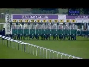Video preview image for Haydock Park 20:50 - Race To Success With Avnet Handicap