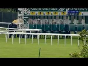Video preview image for Sandown Park 15:50 - Mousetrap Challenge Cup Fillies' Handicap