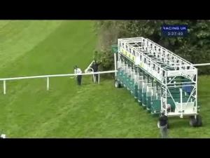 Video preview image for Sandown Park 15:25 - Novae Bloodstock Insurance Scurry Stakes (Listed)