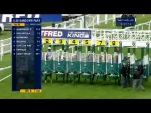 Video preview image for Sandown Park 17:30 - Betfred Bonus King Bingo Handicap