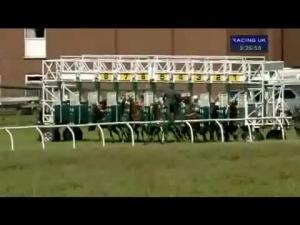 Video preview image for Thirsk 15:25 - British Stallion Studs Supporting British Racing E.B.F. Fillies' Handicap