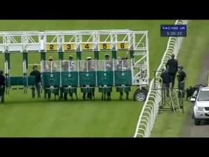 Video preview image for Hamilton Park 17:20 - Book Now For Ladies Night Classified Claiming Stakes