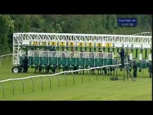 Video preview image for Warwick 16:45 - Ptc Systems Handicap