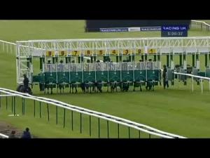 Video preview image for Warwick 17:20 - Anixter Ip Assured Handicap