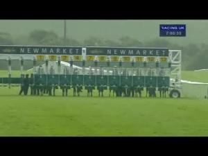 Video preview image for Newmarket 19:00 - Ngk Spark Plugs Maiden Stakes