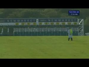 Video preview image for Newmarket 19:30 - Danwood Handicap