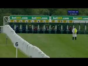Video preview image for Newmarket 17:25 - bet365.com Maiden Stakes (Div 2)