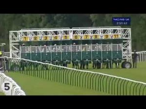 Video preview image for Salisbury 14:50 - Begbies Traynor Group Maiden Stakes (Div 1)