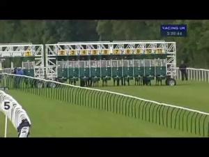 Video preview image for Salisbury 15:20 - Begbies Traynor Group Maiden Stakes (Div 2)