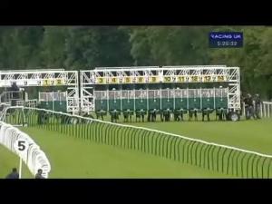 Video preview image for Salisbury 17:25 - New Forest Farm MacHinery/john Deere Fillies' Handicap