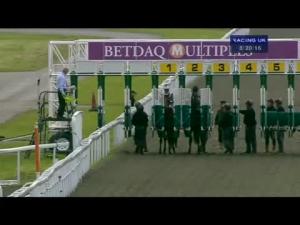 Video preview image for Kempton Park 20:20 - British Stallion Studs Supporting British Racing E.B.F. Novice Stakes