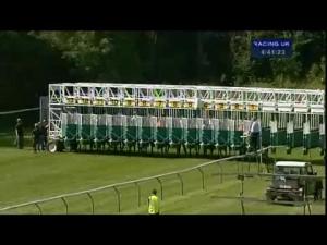 Video preview image for Warwick 16:40 - Dtz & Mucklow Anniversary Apprentice Handicap
