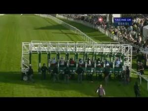 Video preview image for Hamilton Park 18:50 - Rogano Glasgow Lady Amateur Riders' Handicap