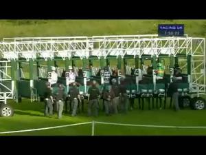 Video preview image for Hamilton Park 19:50 - Irn Bru Open Maiden Stakes