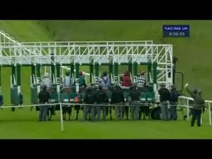 Video preview image for Hamilton Park 20:20 - E.B.F. Captain J.C. Stewart Fillies' Handicap