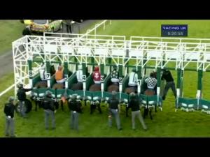 Video preview image for Hamilton Park 21:20 - Patersons Of Greenoakhill Handicap