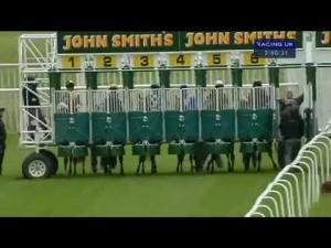 Video preview image for Musselburgh 14:40 - Steadfast E.B.F. Maiden Stakes