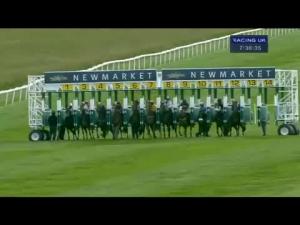 Video preview image for Newmarket 19:35 - poptelecom.co.uk Fixed Prices For 2 Years Handicap