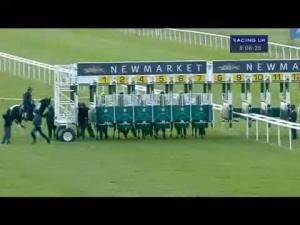 Video preview image for Newmarket 20:05 - poptelecom.co.uk Free Router With Broadband E.B.F. Fillies' Conditions Stakes