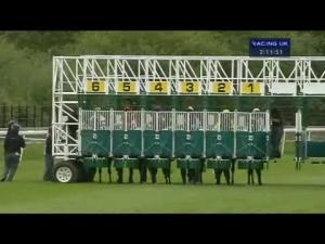Video preview image for Chester 14:10 - Linde Material Handling Novice Stakes
