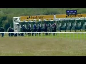 Video preview image for Newmarket 15:00 - Betfair Supports The Animal Health Trust Fred Archer Stakes (Listed)