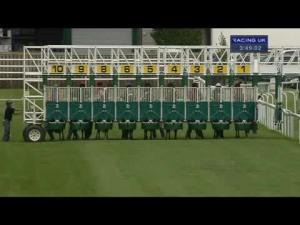 Video preview image for Chester 15:45 - Kathleen Corbett Memorial Handicap