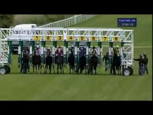 Video preview image for Salisbury 14:05 - Wiltshire Community Foundation E.B.F. Blagrave Maiden Stakes