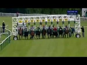 Video preview image for Salisbury 15:05 - K J Pike & Sons Ltd Seniors' Sprint Handicap