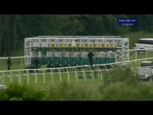 Video preview image for Pontefract 16:30 - British Stallion Studs E.B.F./Park Suite Fillies' Handicap