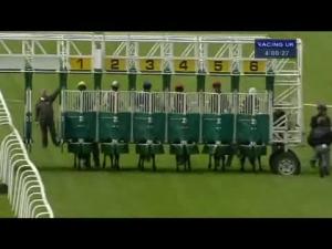 Video preview image for Hamilton Park 16:00 - Steps and Peter Andre Live This Saturday Handicap