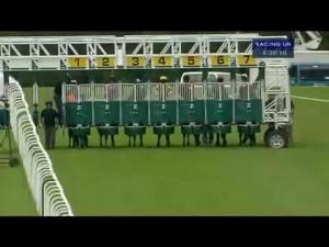 Video preview image for Hamilton Park 16:30 - John Smith's Fair Friday Handicap