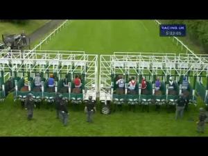 Video preview image for Hamilton Park 17:30 - Family Night With Reggie Yates Next Saturday Handicap