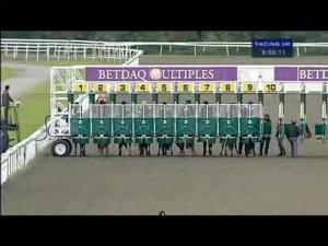 Video preview image for Kempton Park 20:00 - Betdaq Casino Games Handicap