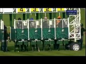 Video preview image for Newbury 19:25 - Ufton Adventure Conditions Stakes (Str)