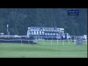 Video preview image for Newbury 21:05 - Ufton Adventure Handicap