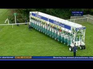 Video preview image for Sandown Park 14:20 - Bluefin Handicap