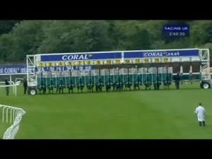 Video preview image for Sandown Park 14:40 - Coral Challenge (Handicap)