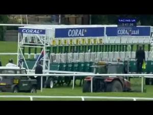 Video preview image for Sandown Park 15:45 - Coral-Eclipse (British Champions Series) (Group 1)