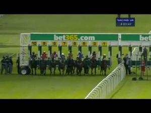 Video preview image for Haydock Park 16:00 - Mobile At bet365.com Nursery