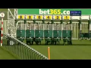 Video preview image for Haydock Park 17:40 - Casino At bet365.com Handicap