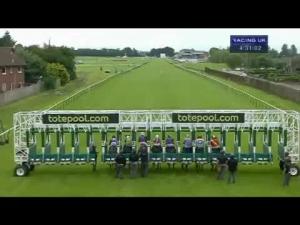 Video preview image for Ayr 16:30 - Lilian Flynn 'All The Best' Memorial Handicap