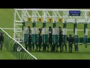 Video preview image for Ayr 14:00 - Irish Stallion Farms E.B.F. Maiden Stakes