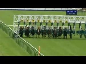 Video preview image for Ayr 14:30 - Isle Of Skye 8yo Blended Whisky Handicap