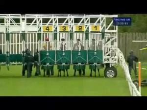 Video preview image for Catterick Bridge 14:20 - yorkshire-outdoors.co.uk Claiming Stakes