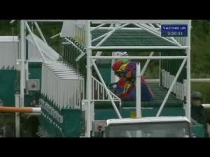 Video preview image for Catterick Bridge 15:20 - Pin Point Recruitment Turmeric Handicap