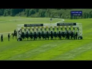 Video preview image for Newmarket 14:25 - Goldsmiths Handicap