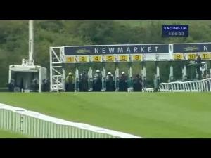 Video preview image for Newmarket 16:05 - Portland Place Properties Conditions Stakes