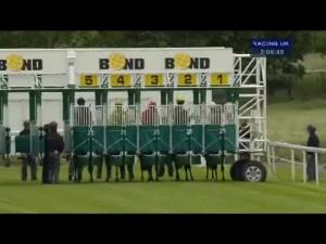 Video preview image for York 14:05 - Cakemark E.B.F. Maiden Stakes