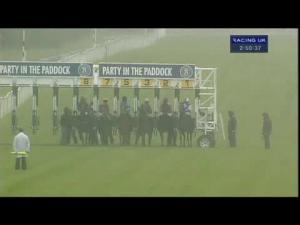 Video preview image for Newbury 14:50 - Shares In Ishi Amy At chrisbeekracing.com Fillies' Handicap